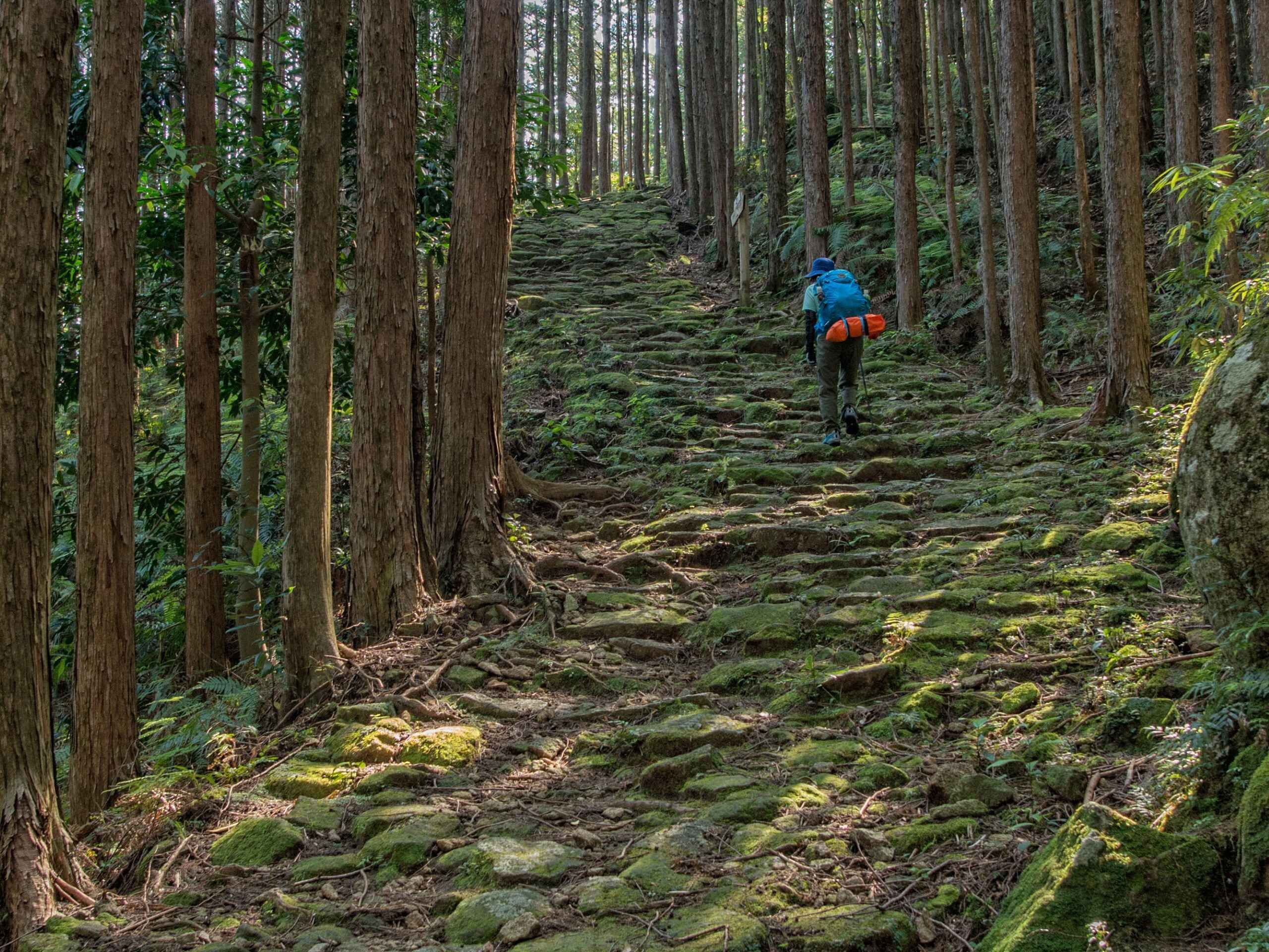 What to Pack for the Kumano Kodo