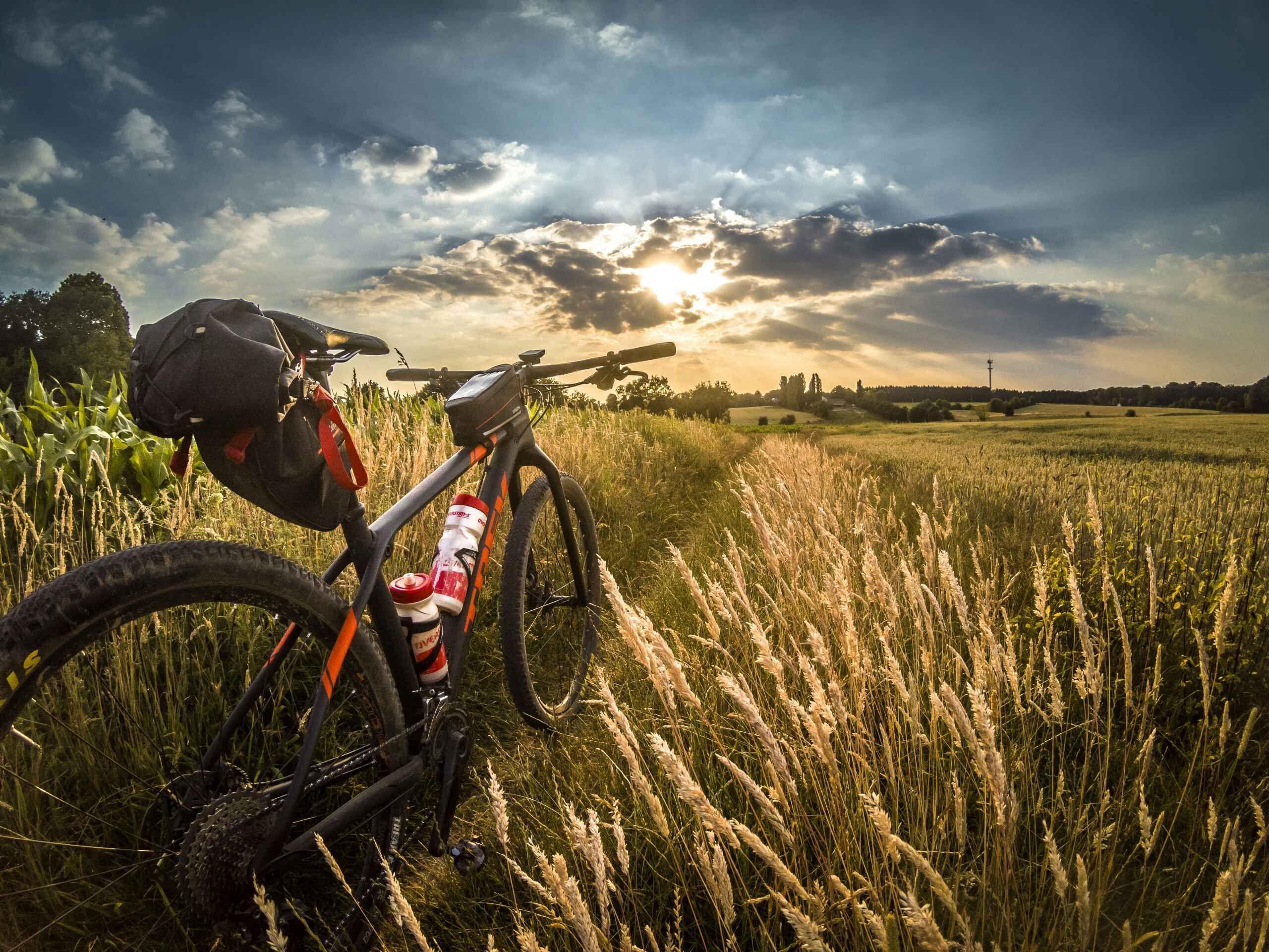 Bike in field at sunset