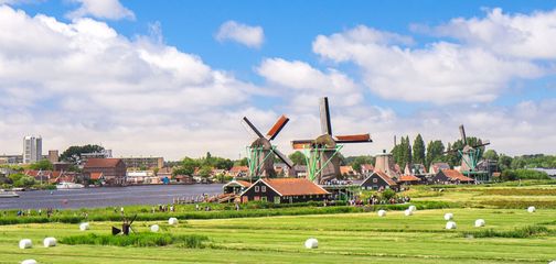 Netherlands Bike Trips: Best Cycling Routes and Tours for 2026