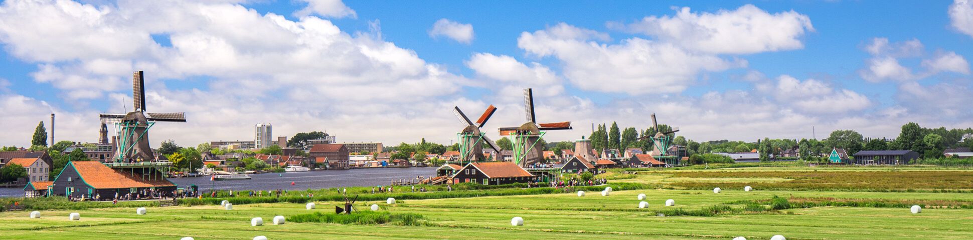 Netherlands Bike Trips: Best Cycling Routes and Tours for 2026