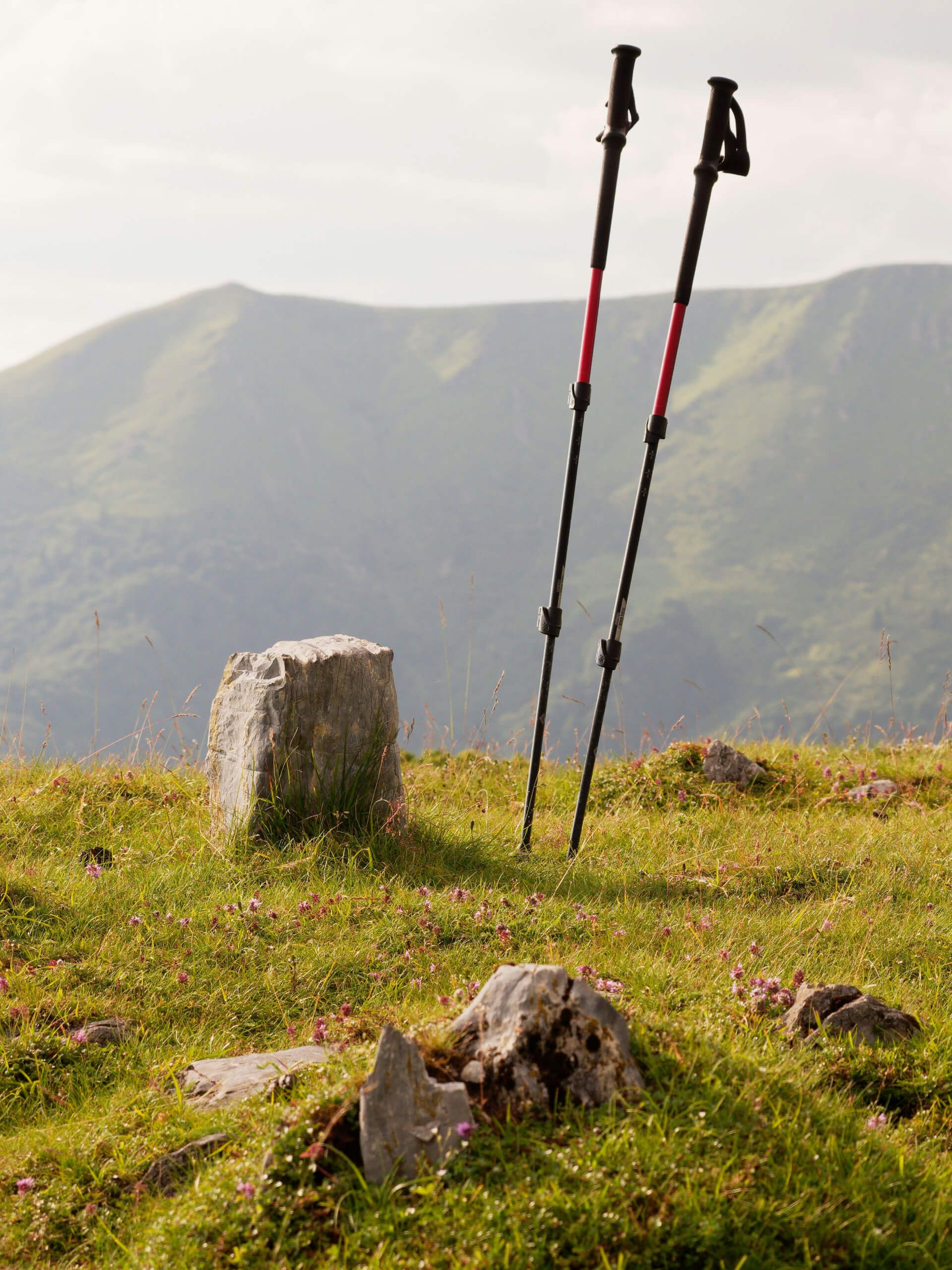 Trekking poles in the mountains
