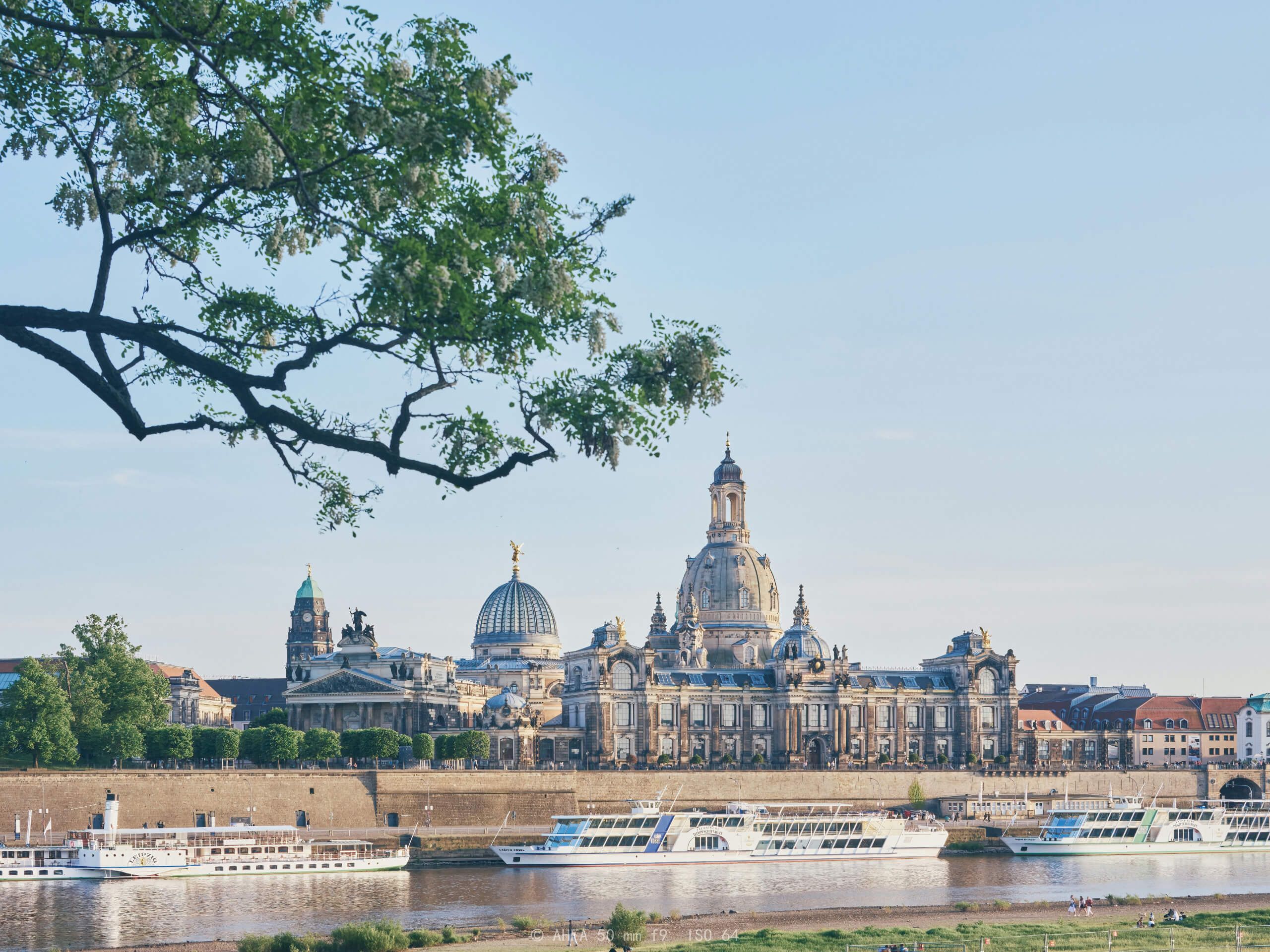 Dresden