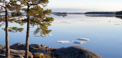 Earth Day | How Can We Reduce Our Impact While Travelling and Exploring
