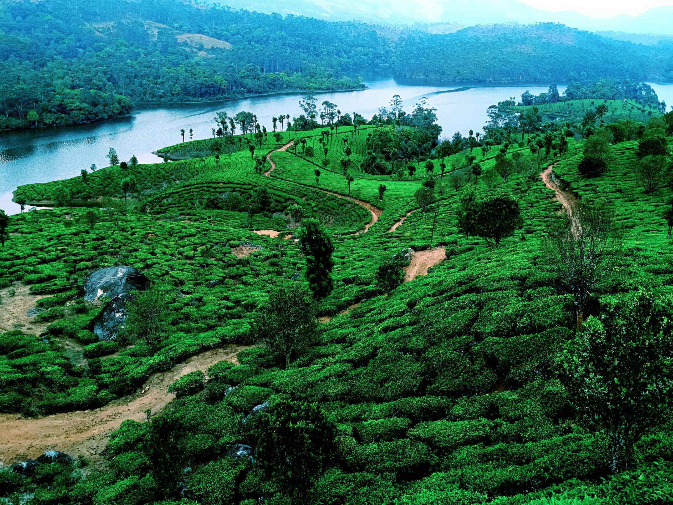 Kerala