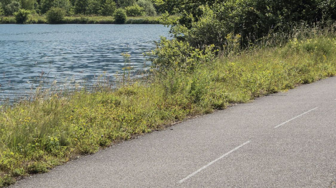 ViaRhôna Cycle Route: A Complete Guide to Cycling the Rhône
