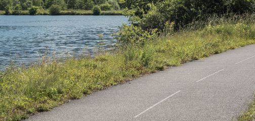 ViaRhôna Cycle Route: A Complete Guide to Cycling the Rhône