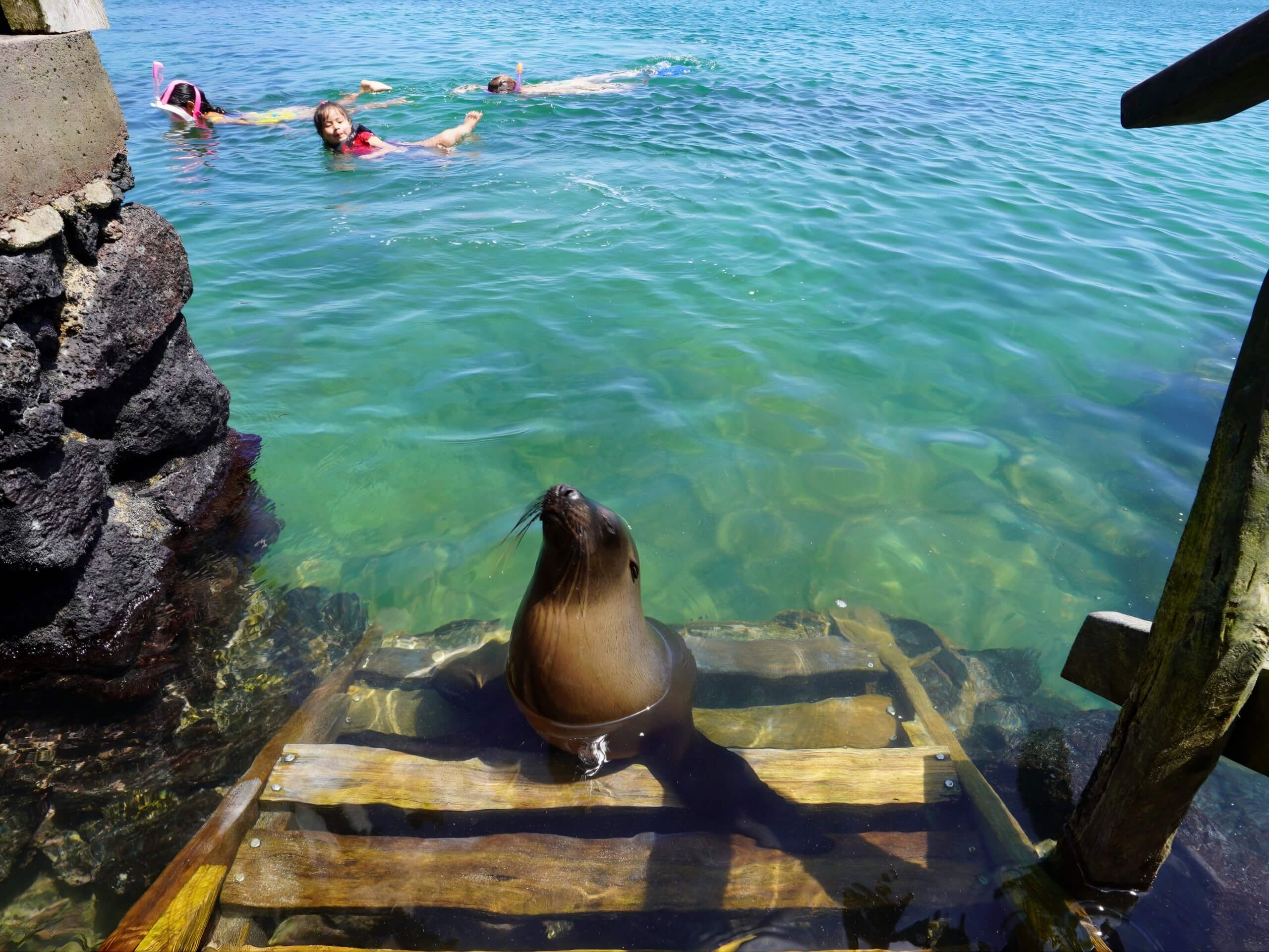 Galapagos and Amazon Family Adventure, Ecuador