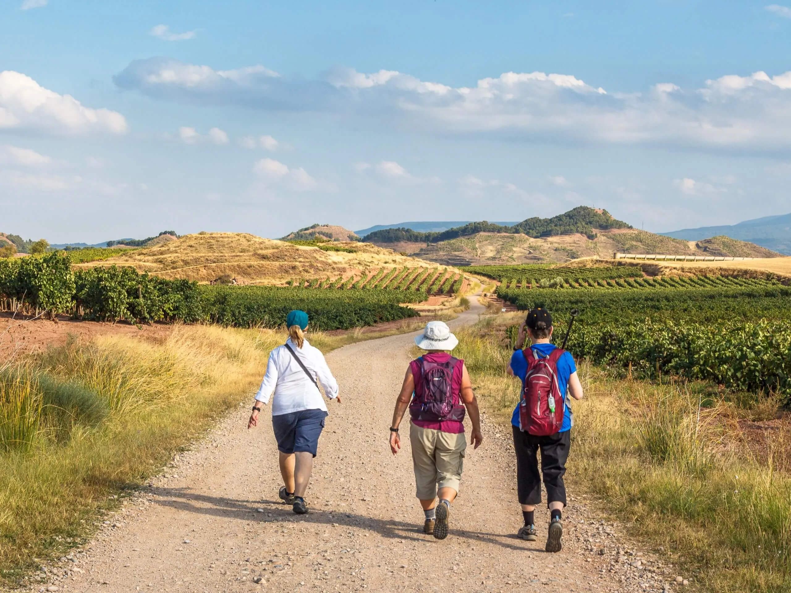 Camino Francés