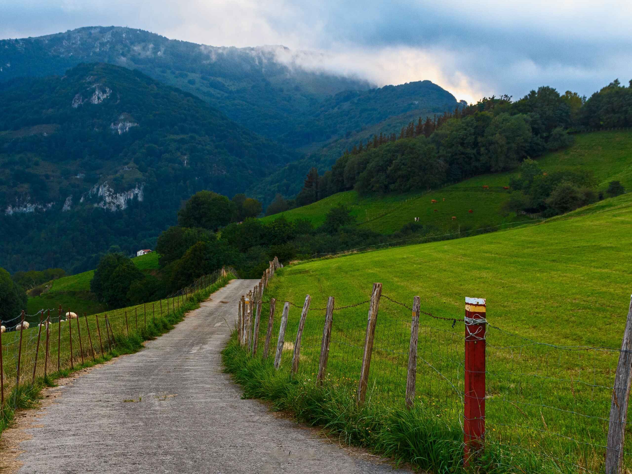 Camino Primitivo