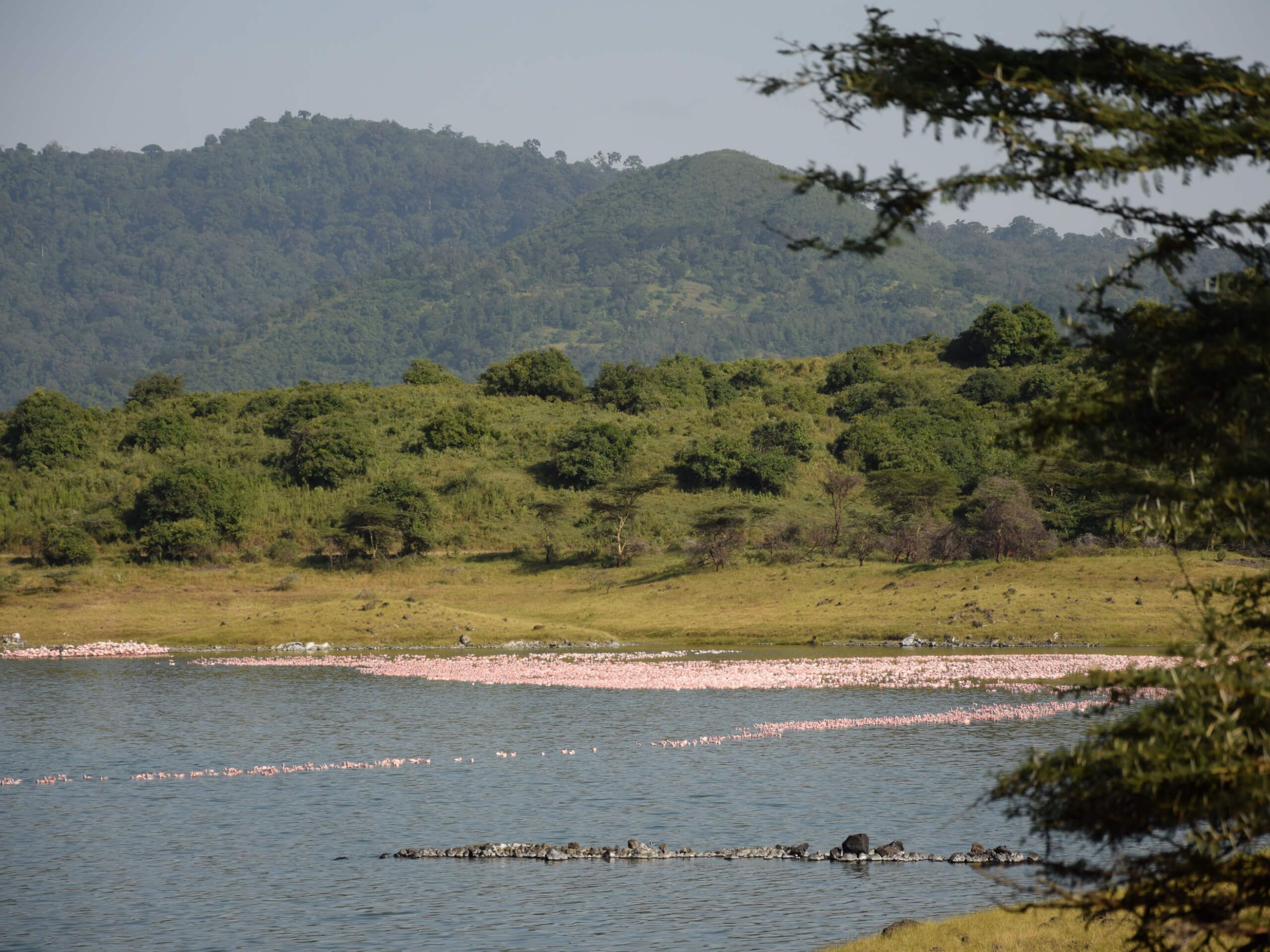 Arusha National Park