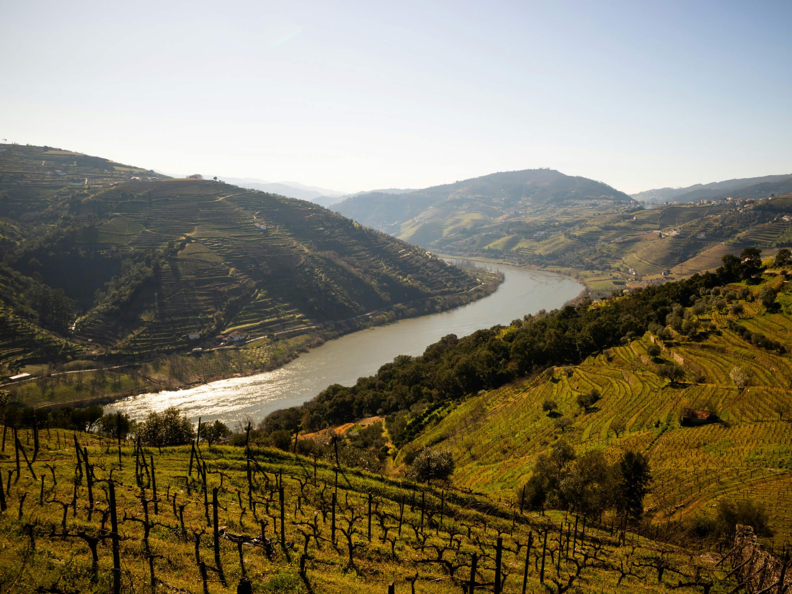 Douro Valley