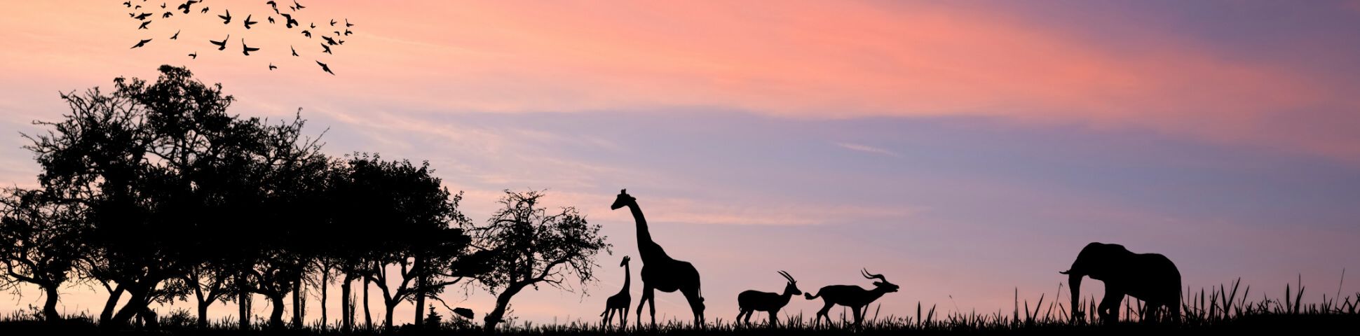 Walking Trips in Tanzania: Kilimanjaro, Mount Meru and Beyond