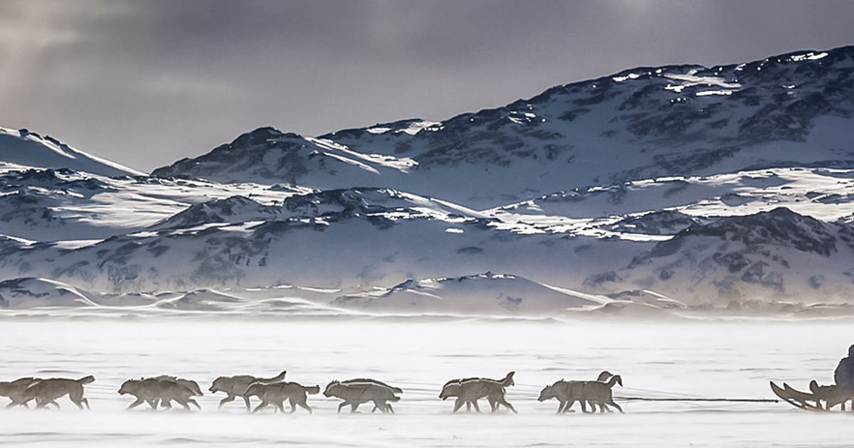 Dog Sledding in East Greenland Tour 10Adventures