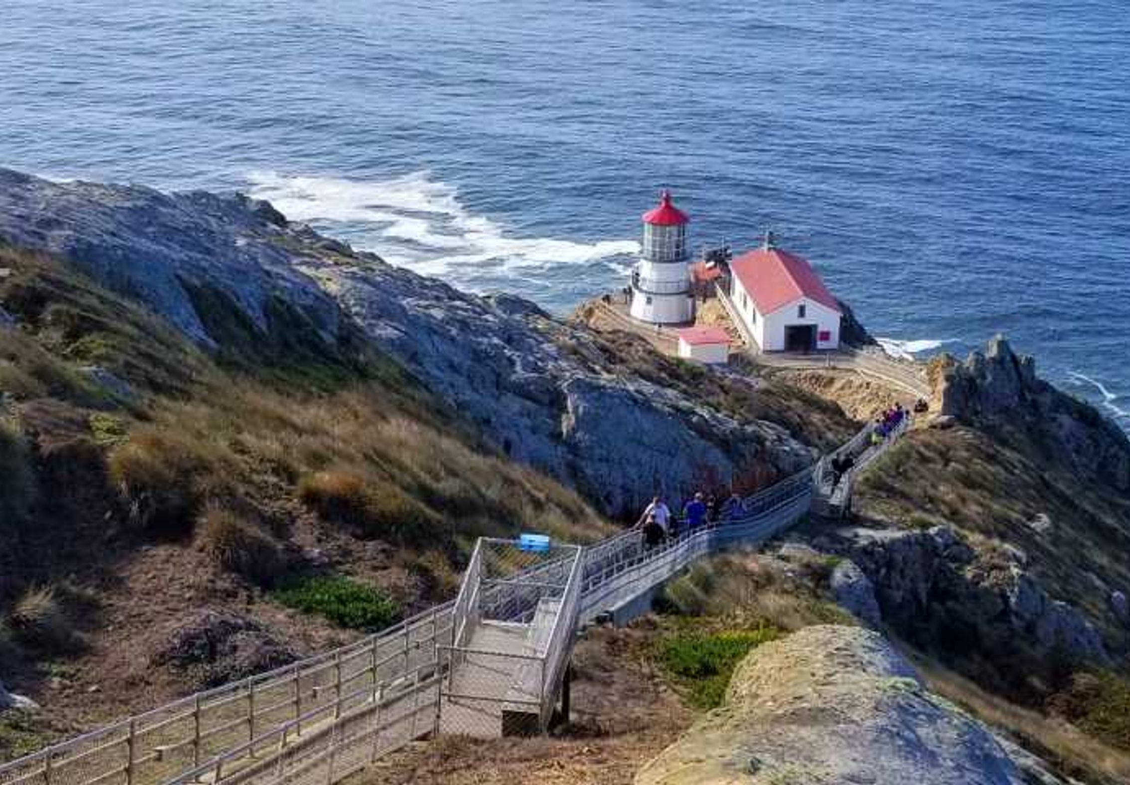 Hidden Hot Spring In Point Reyes Guided Point Reyes Hiking Tour in California | Private Tour | 2026 Pricing