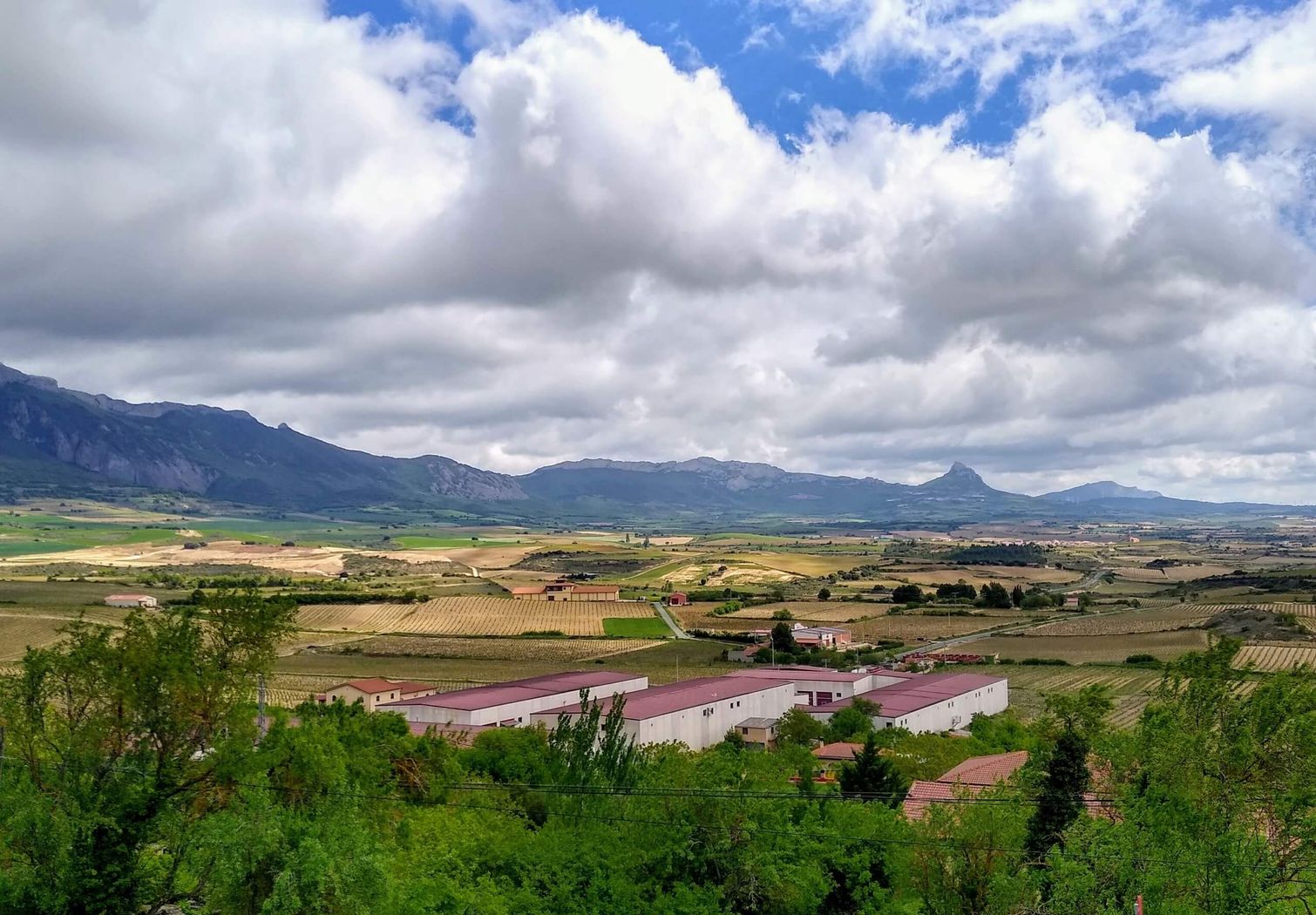 La Rioja Wine Region Bike Tour, Spain
