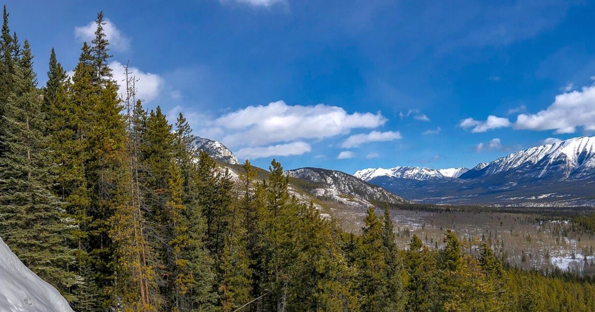 Ice Climbing Basics Course in the Canadian Rockies 10Adventures