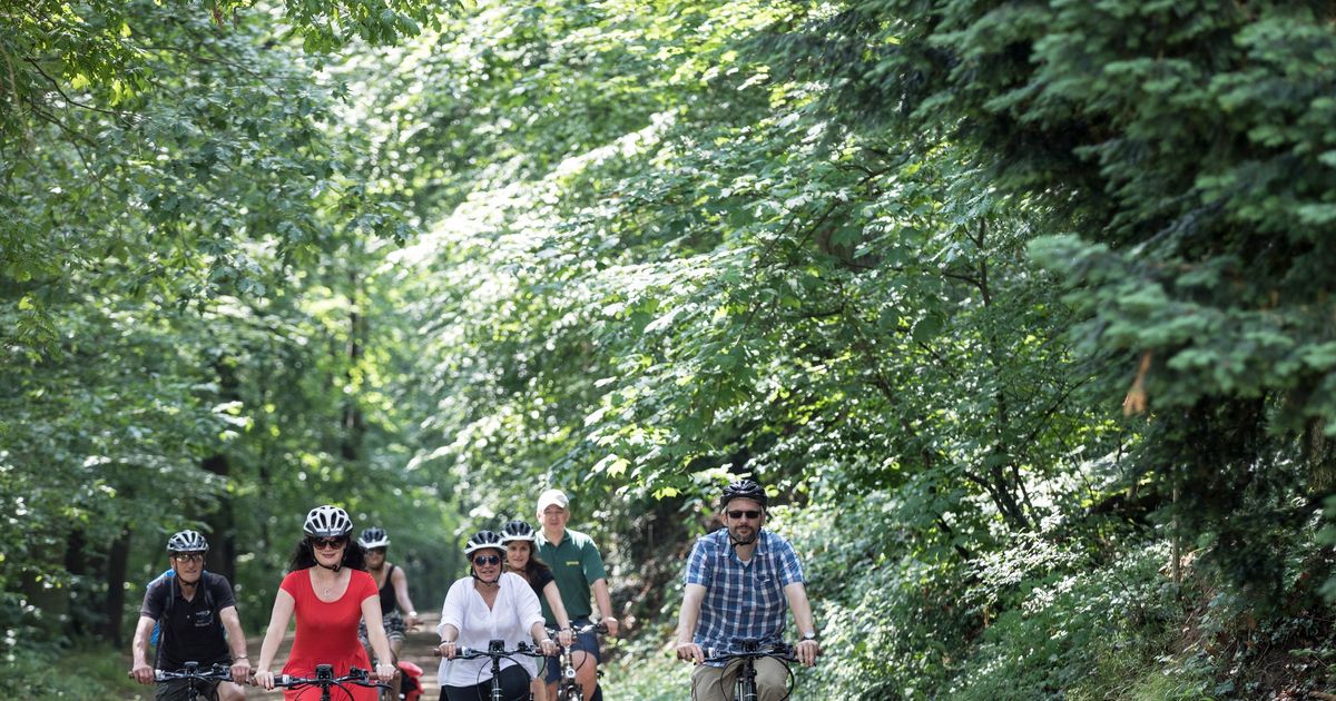 Cycle the Rhine River Tour