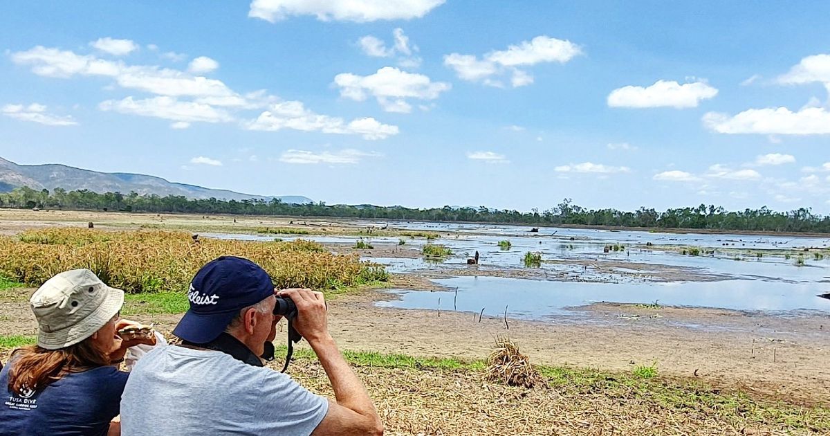 North Queensland Birdwatching Tour 10Adventures