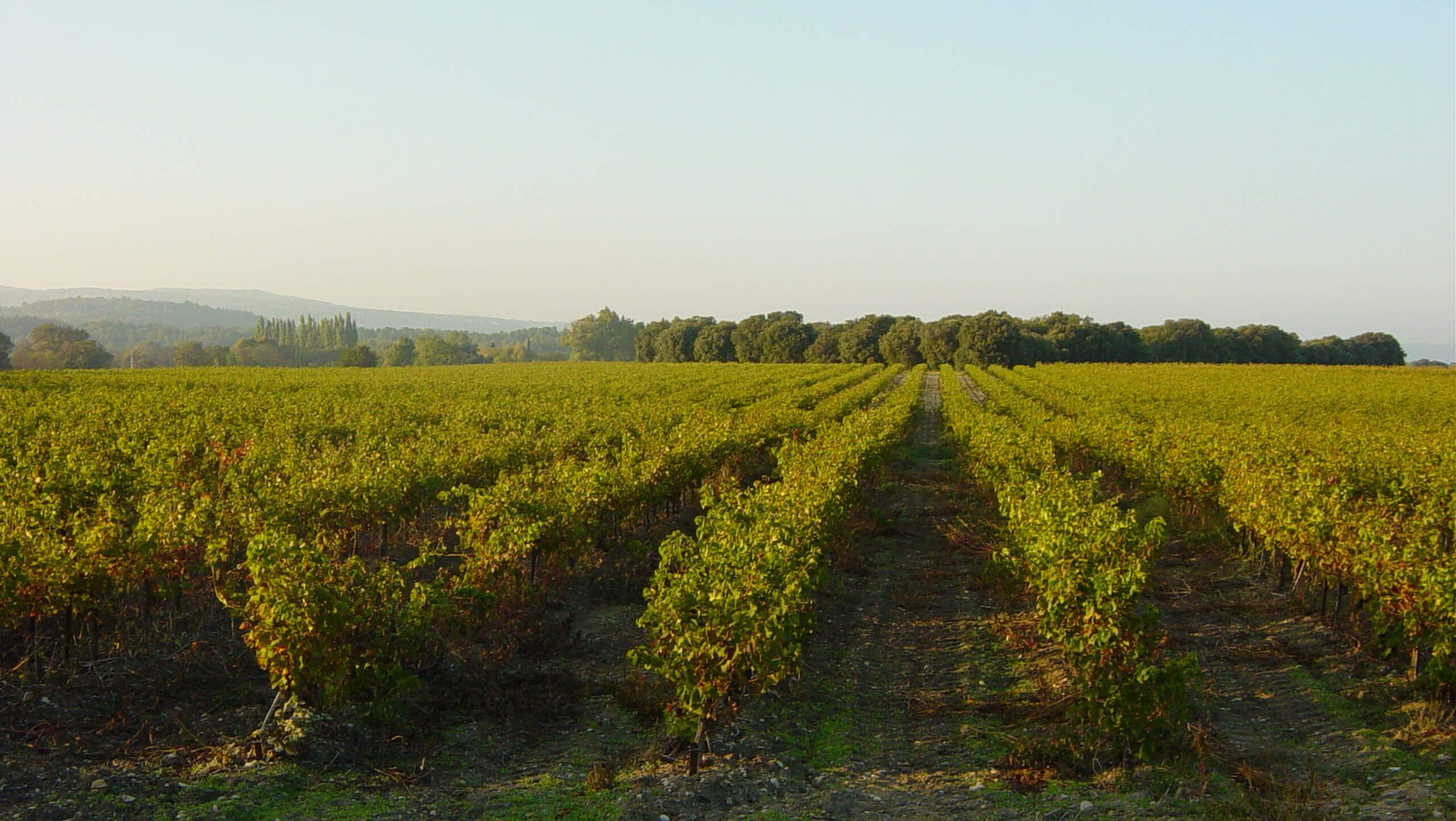 Selfguided Provence Biking Tour 10Adventures