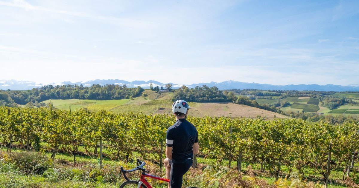 Béarn and Basque Self-Guided E-bike Tour | 2026 Dates & Prices