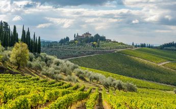 Prosecco Hills & Vineyards Self-Guided Bike Tour-6