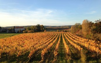 Walk the Complete Le Puy Camino-5